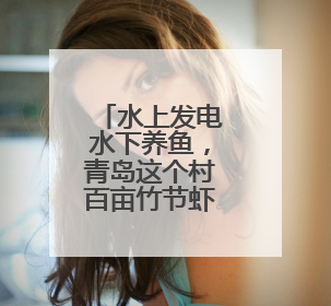 水上发电水下养鱼，青岛这个村百亩竹节虾抢“鲜”上市