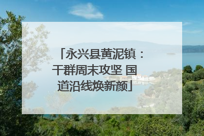 永兴县黄泥镇：干群周末攻坚 国道沿线焕新颜