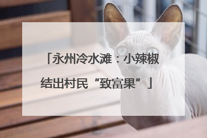 永州冷水滩：小辣椒结出村民“致富果”