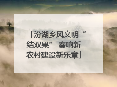 汾湖乡风文明“结双果” 奏响新农村建设新乐章