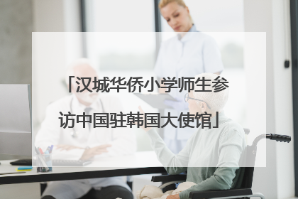 汉城华侨小学师生参访中国驻韩国大使馆