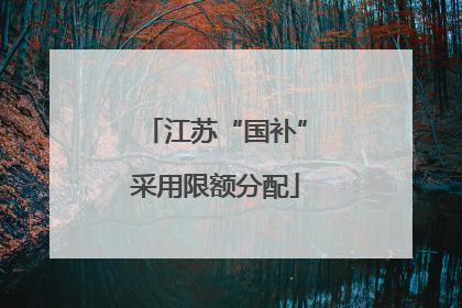 江苏“国补”采用限额分配
