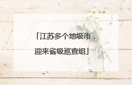 江苏多个地级市，迎来省级巡查组