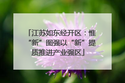 江苏如东经开区：惟“新”图强以“新”提质推进产业强区