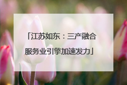 江苏如东：三产融合 服务业引擎加速发力