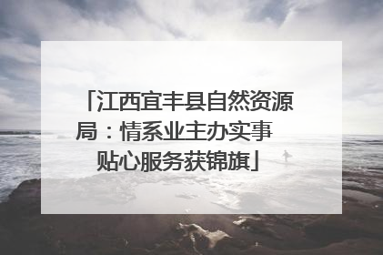 江西宜丰县自然资源局：情系业主办实事 贴心服务获锦旗