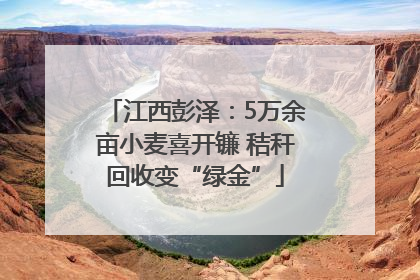 江西彭泽：5万余亩小麦喜开镰 秸秆回收变“绿金”