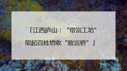 江西庐山：“带富工坊”架起百姓增收“致富桥”
