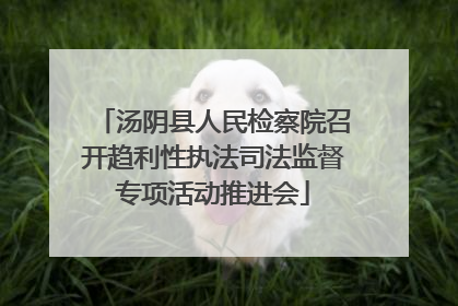 汤阴县人民检察院召开趋利性执法司法监督专项活动推进会