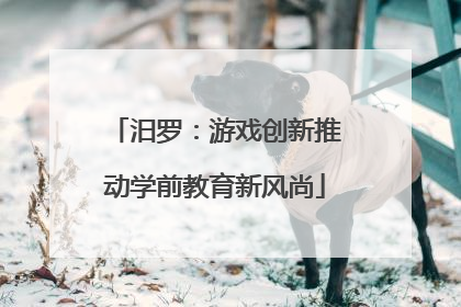 汨罗：游戏创新推动学前教育新风尚
