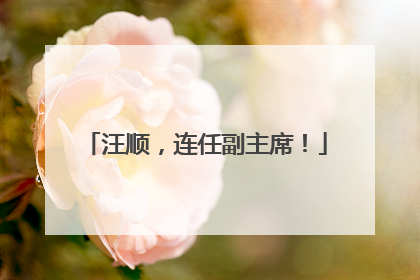 汪顺，连任副主席！