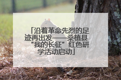 沿着革命先烈的足迹再出发——桑植县“我的长征”红色研学活动启动