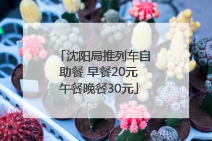 沈阳局推列车自助餐 早餐20元午餐晚餐30元