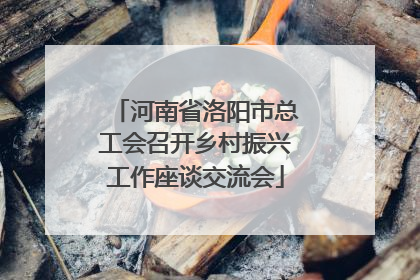 河南省洛阳市总工会召开乡村振兴工作座谈交流会