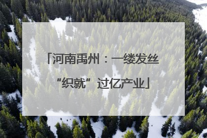 河南禹州：一缕发丝“织就”过亿产业