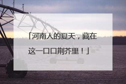河南人的夏天，藏在这一口口荆芥里！