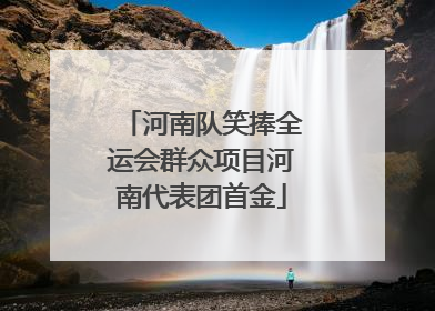 河南队笑捧全运会群众项目河南代表团首金