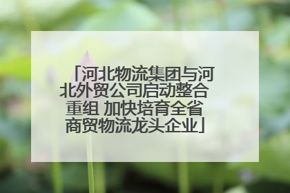 河北物流集团与河北外贸公司启动整合重组 加快培育全省商贸物流龙头企业