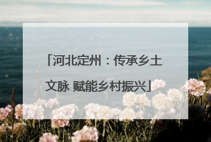 河北定州：传承乡土文脉 赋能乡村振兴