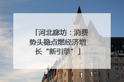 河北廊坊：消费势头稳点燃经济增长“新引擎”