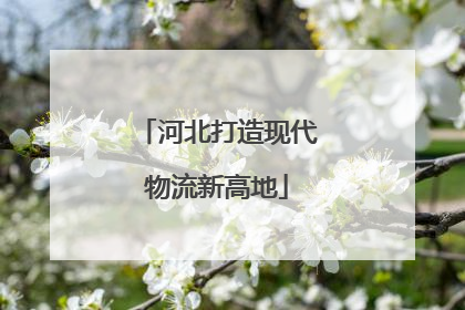 河北打造现代物流新高地