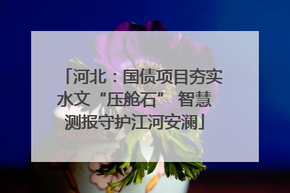 河北：国债项目夯实水文“压舱石” 智慧测报守护江河安澜