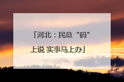 河北：民意“码”上说 实事马上办