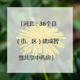 河北：36个县（市、区）建成智慧共享中药房