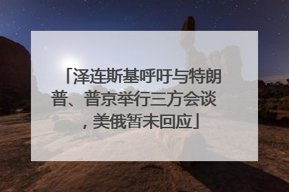 泽连斯基呼吁与特朗普、普京举行三方会谈，美俄暂未回应