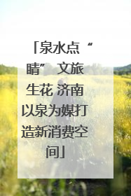 泉水点“睛” 文旅生花 济南以泉为媒打造新消费空间