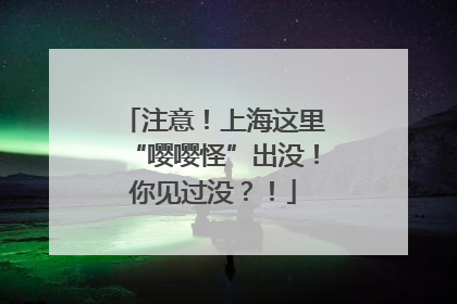 注意！上海这里“嘤嘤怪”出没！你见过没？！