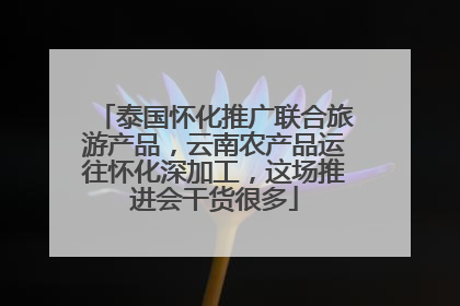 泰国怀化推广联合旅游产品，云南农产品运往怀化深加工，这场推进会干货很多