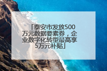 泰安市发放500万元数据要素券，企业数字化转型最高享5万元补贴