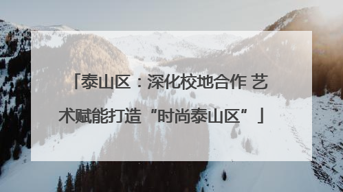 泰山区：深化校地合作 艺术赋能打造“时尚泰山区”