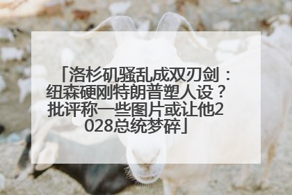 洛杉矶骚乱成双刃剑：纽森硬刚特朗普塑人设？批评称一些图片或让他2028总统梦碎