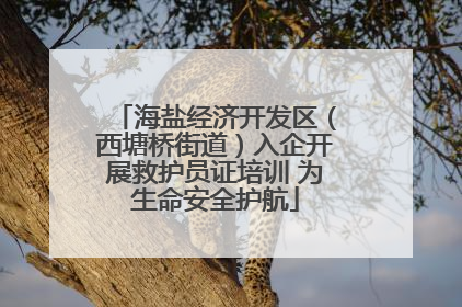 海盐经济开发区（西塘桥街道）入企开展救护员证培训 为生命安全护航