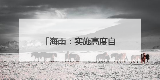 海南：实施高度自由便利开放的运输政策，加快构建现代综合交通运输体系