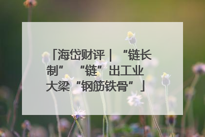 海岱财评｜“链长制” “链”出工业大梁“钢筋铁骨”