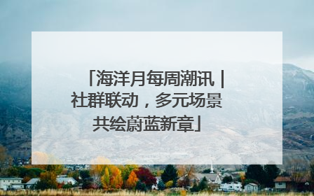 海洋月每周潮讯｜社群联动，多元场景共绘蔚蓝新章