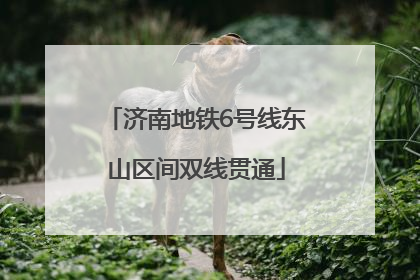 济南地铁6号线东山区间双线贯通