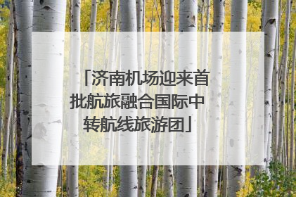 济南机场迎来首批航旅融合国际中转航线旅游团