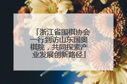 浙江省围棋协会一行到访山东国奥棋院，共同探索产业发展创新路径