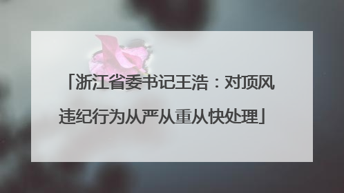 浙江省委书记王浩：对顶风违纪行为从严从重从快处理