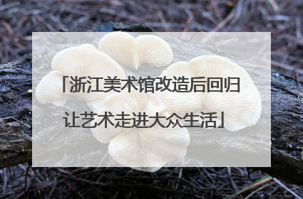 浙江美术馆改造后回归 让艺术走进大众生活