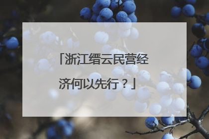 浙江缙云民营经济何以先行？