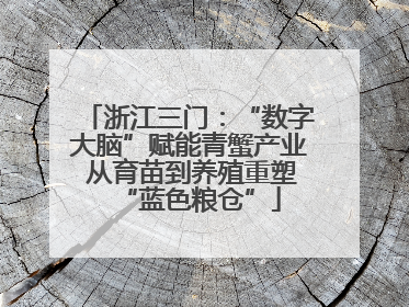 浙江三门：“数字大脑”赋能青蟹产业 从育苗到养殖重塑“蓝色粮仓”