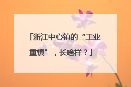 浙江中心镇的“工业重镇”，长啥样？