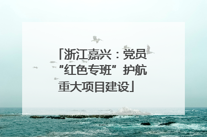 浙江嘉兴：党员“红色专班”护航重大项目建设
