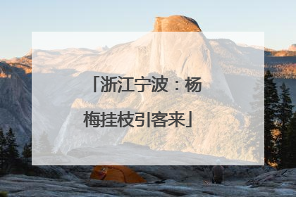 浙江宁波：杨梅挂枝引客来