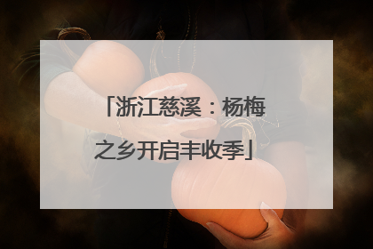 浙江慈溪：杨梅之乡开启丰收季